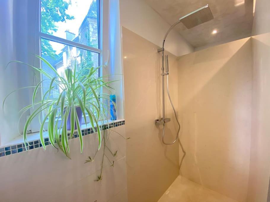 Charmant Appartement - Centre Cite Plantagenet!!! Le Mans Zewnętrze zdjęcie